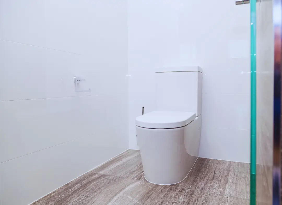 Remplacement de wc L'Isle-sur-la-Sorgue